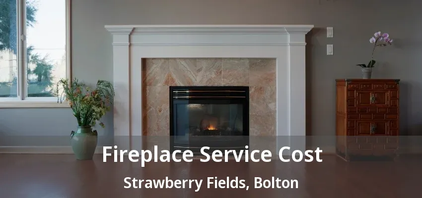 Fireplace Service Cost Strawberry Fields, Bolton - ON