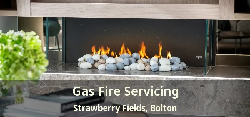 Gas Fire Servicing Strawberry Fields, Bolton - ON