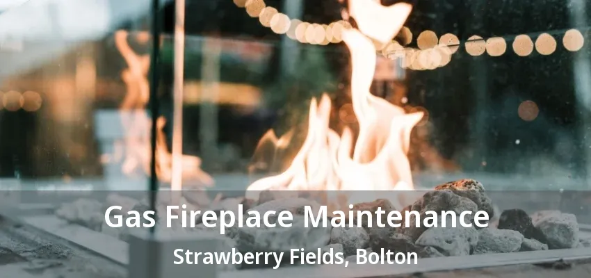 Gas Fireplace Maintenance Strawberry Fields, Bolton - ON