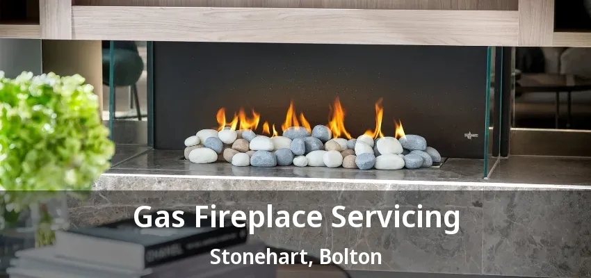 Gas Fireplace Servicing Stonehart, Bolton - ON