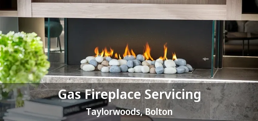 Gas Fireplace Servicing Taylorwoods, Bolton - ON