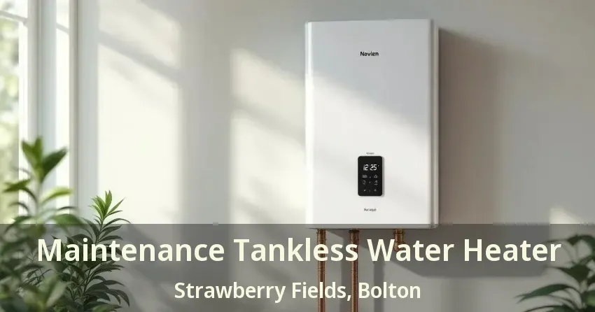 Maintenance Tankless Water Heater Strawberry Fields, Bolton - ON