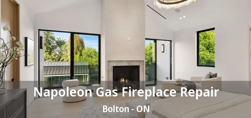 Napoleon Gas Fireplace Repair Bolton - ON Napoleon Gas Fireplace Repair Bolton - ON