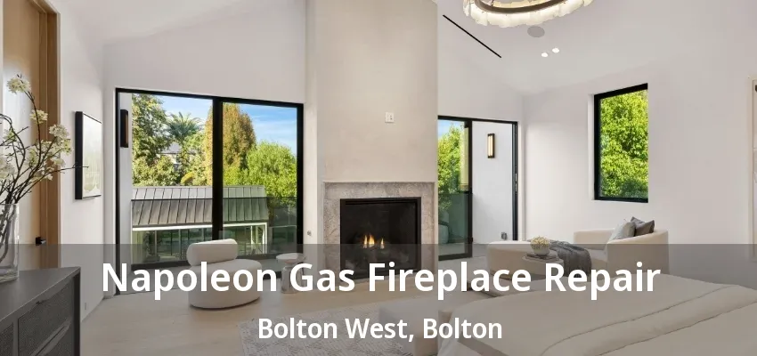Napoleon Gas Fireplace Repair Bolton West, Bolton - ON Napoleon Gas Fireplace Repair Bolton West, Bolton - ON