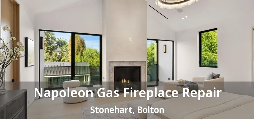 Napoleon Gas Fireplace Repair Stonehart, Bolton - ON Napoleon Gas Fireplace Repair Stonehart, Bolton - ON
