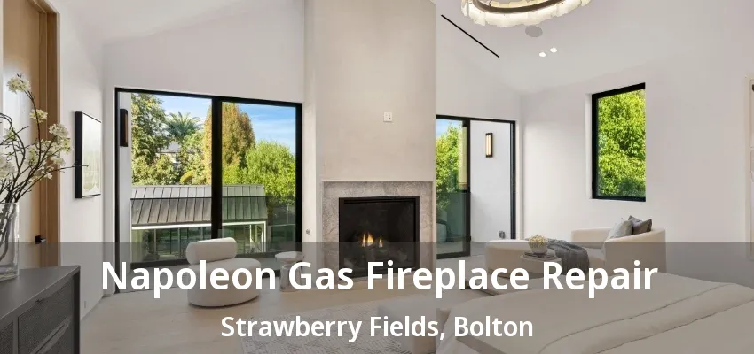 Napoleon Gas Fireplace Repair Strawberry Fields, Bolton - ON