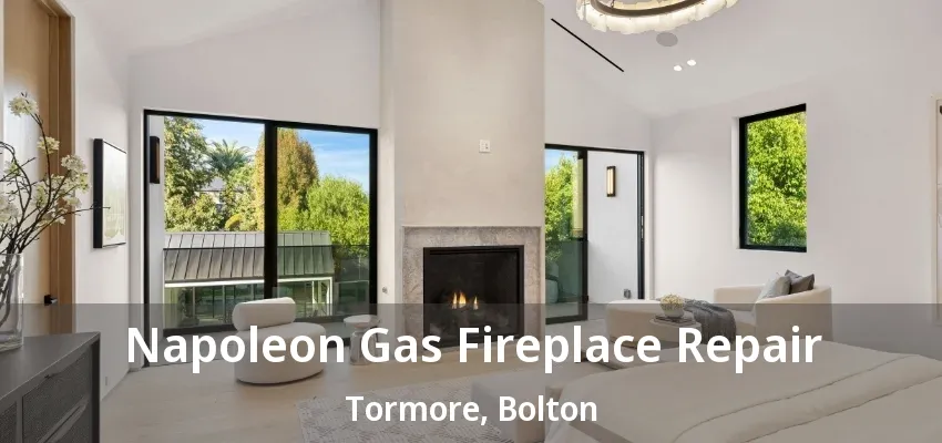 Napoleon Gas Fireplace Repair Tormore, Bolton - ON Napoleon Gas Fireplace Repair Tormore, Bolton - ON