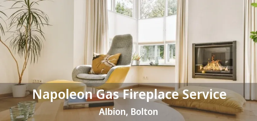 Napoleon Gas Fireplace Service Albion, Bolton - ON Napoleon Gas Fireplace Service Albion, Bolton - ON
