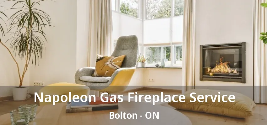 Napoleon Gas Fireplace Service Bolton - ON