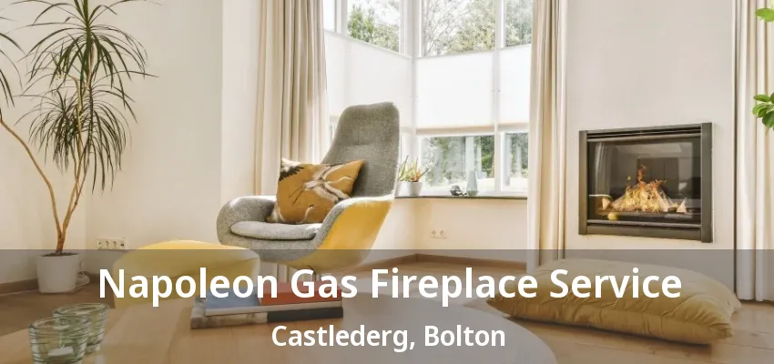 Napoleon Gas Fireplace Service Castlederg, Bolton - ON Napoleon Gas Fireplace Service Castlederg, Bolton - ON