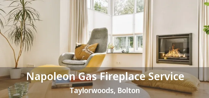 Napoleon Gas Fireplace Service Taylorwoods, Bolton - ON Napoleon Gas Fireplace Service Taylorwoods, Bolton - ON