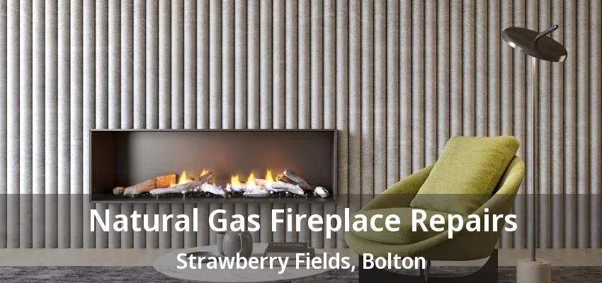 Natural Gas Fireplace Repairs Strawberry Fields, Bolton - ON Natural Gas Fireplace Repairs Strawberry Fields, Bolton - ON