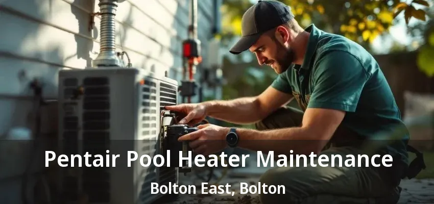 Pentair Pool Heater Maintenance Bolton East, Bolton - ON