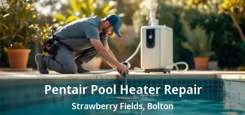 Pentair Pool Heater Repair Strawberry Fields, Bolton - ON