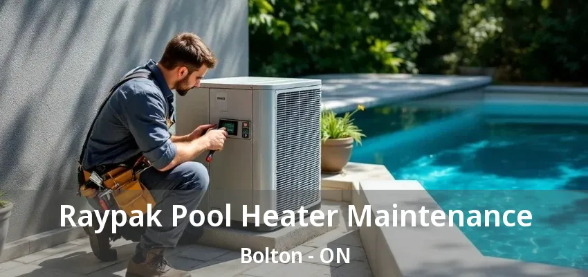 Raypak Pool Heater Maintenance Bolton - ON