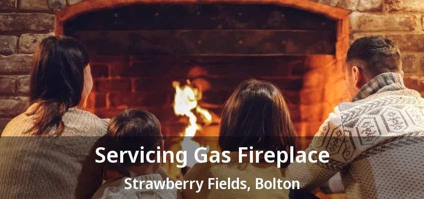 Servicing Gas Fireplace Strawberry Fields, Bolton - ON Servicing Gas Fireplace Strawberry Fields, Bolton - ON