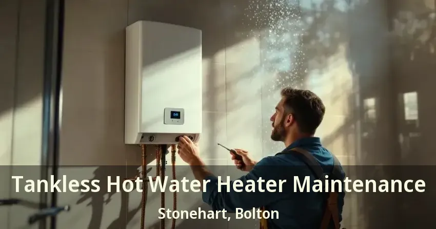 Tankless Hot Water Heater Maintenance Stonehart, Bolton - ON