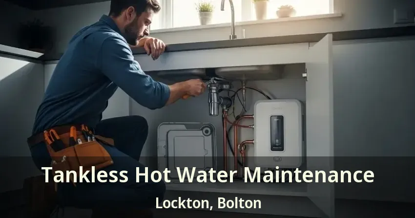 Tankless Hot Water Maintenance Lockton, Bolton - ON