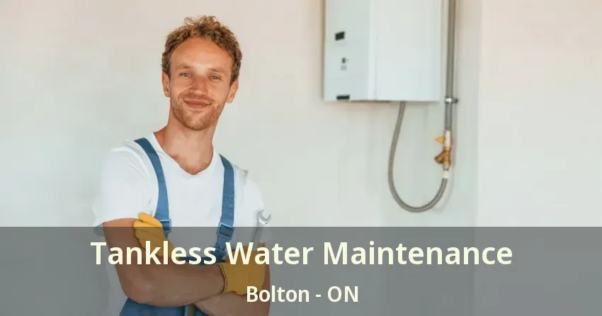 Tankless Water Maintenance Bolton - ON