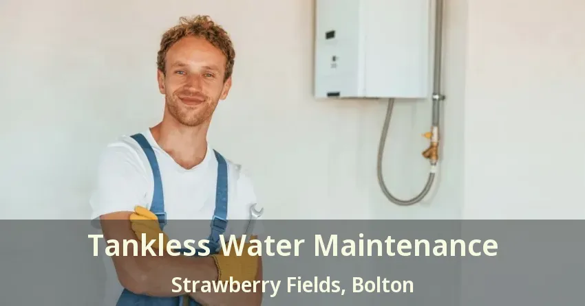 Tankless Water Maintenance Strawberry Fields, Bolton - ON